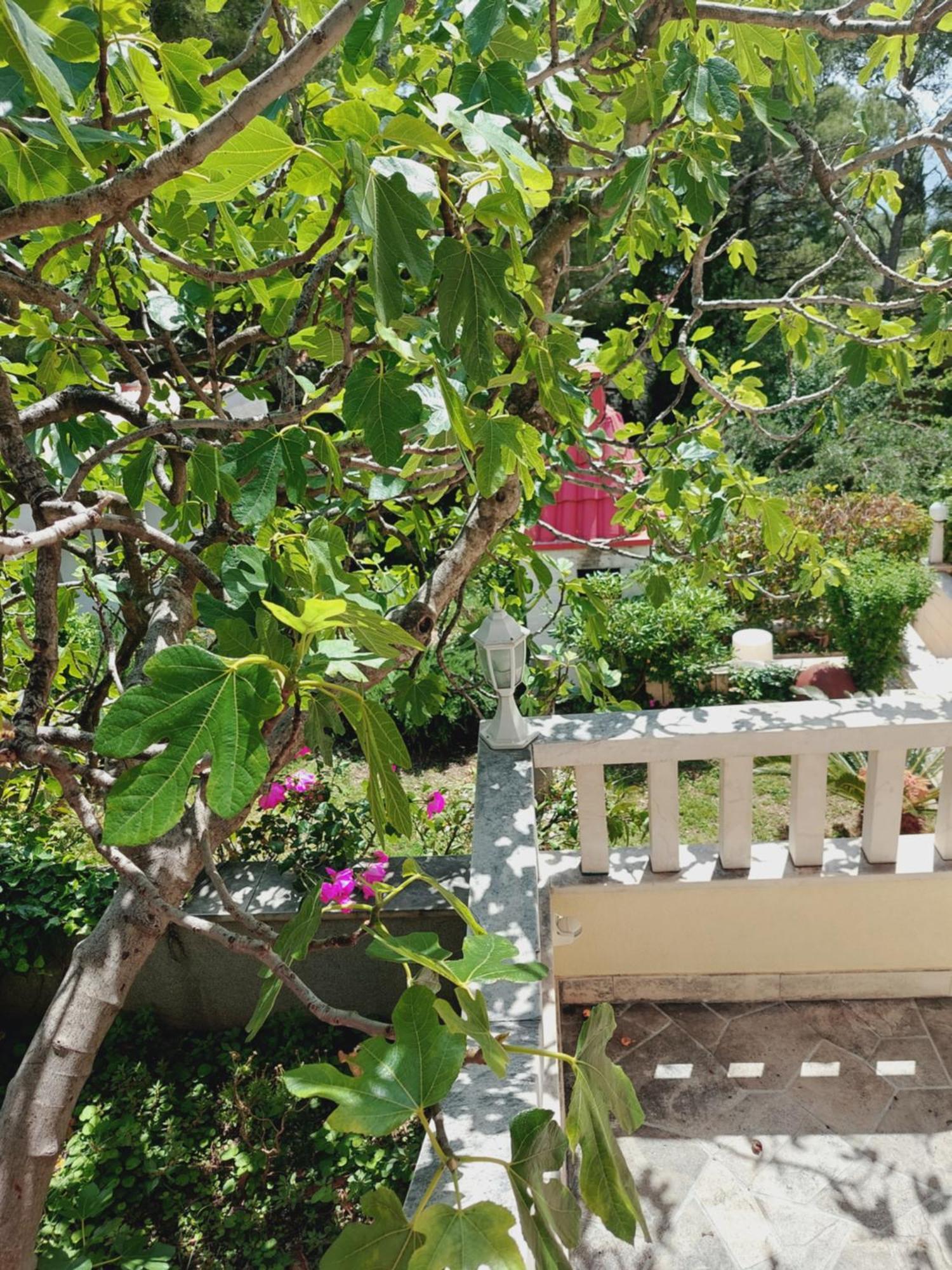 Villa Rosso Baška Voda Habitación foto